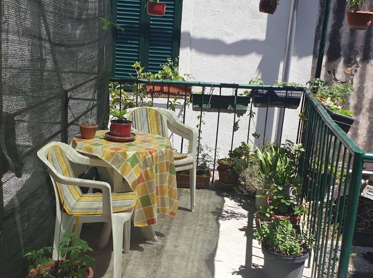 Apartmani Nedo 斯普利特 外观 照片